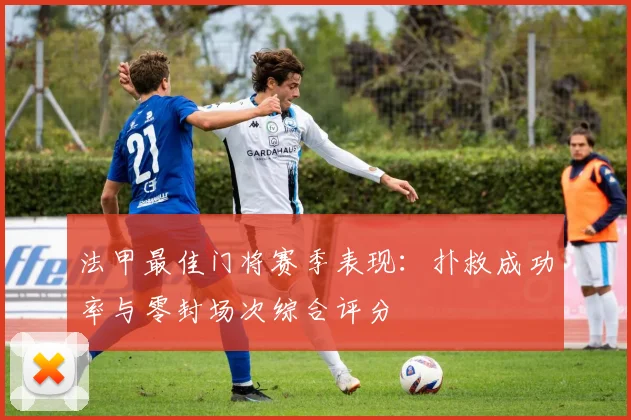 法甲最佳门将赛季表现：扑救成功率与零封场次综合评分