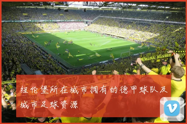 纽伦堡所在城市拥有的德甲球队及城市足球资源