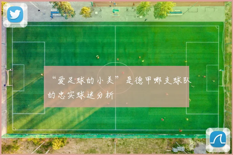 “爱足球的小美”是德甲哪支球队的忠实球迷分析