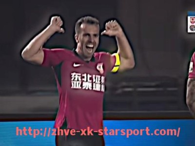 星空体育-法甲外援竞技状态波动及背后原因数据分析